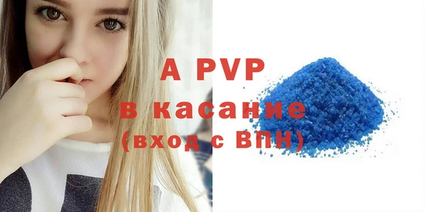 прущие грибы Осташков