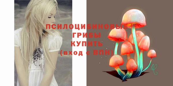 гидропоника Абинск