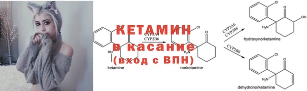 амф Абаза