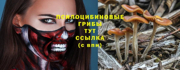 крисы Осинники